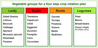 Four Step Crop Rotation