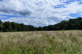 Das perfekte pendant zum weißen heimtrikot: Update Ausbauplane 1 Fc Koln Nicht Durchpeitschen