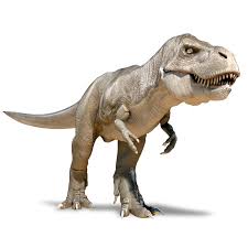 T Rex Fbx Free 3d Model Rex Model