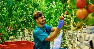 Afaceri Profitabile In Domeniul Agriculturii Incepute Cu Investitii Mici