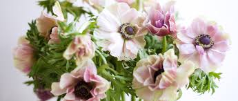 When you say i love you to medical centers, retirement homes and the like, you're getting the ultimate combination of premium floral design and excellent customer service. Floral The Floral Reserve