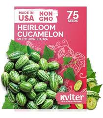 Image result for Cucumis aculeatus