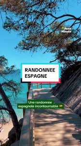 Image result for Bleu 1988 ARO