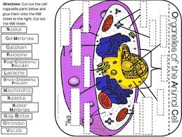 We did not find results for: Getting Nerdy Science Life Science Biology Lessons