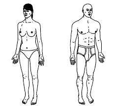 Maybe you would like to learn more about one of these? Human Body Anatomy Coloring Pages Coloring Sky