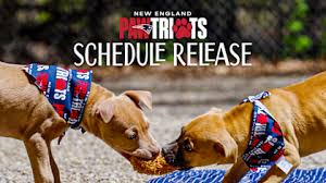 2026 Schedule - New England Patriots