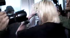 Taylor momsen videos on fanpop. Like The Rock How To Properly Escape Paparazzi A Novel By Taylor