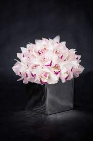 Pure Love 2 14 14 Pink Cymbidium Orchid Arrangement Valentinesday Love Amore Flowers Valentines Valentines Day Flowers