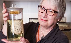 Cómo aprende el cerebro