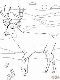 Deer hunter coloring hunting pages for kids grig3. Hunting Coloring Pages Printable Bow Hunting Coloring Pages Kids Coloring Home