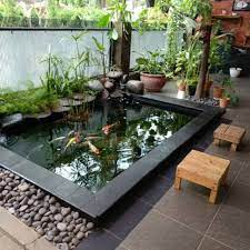 Kolam ikan minimalis suasana pedesaan. Kolam Koi Ikan Hias Shopee Indonesia