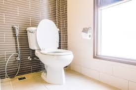 Walls, toilet, sink, shower and finally, the drain lines. 10 Best Upflush Toilets Of 2021 Macerating Toilet Reviews