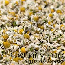 Transfira a fotografia do stock dried chamomile flowers e explore imagens semelhantes no adobe stock. Chamomile Flowers Organic Country Park