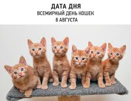 Aug 07, 2021 · всемирный день кошек (world cat day) отмечается ежегодно 8 августа по инициативе международного фонда по защите животных «animal welfare», не только с целью чествования пушистых домоседов, но. Facebook