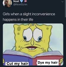 Pin By Cassie On Quotes Funny Memes About Girls Funny Memes Memes