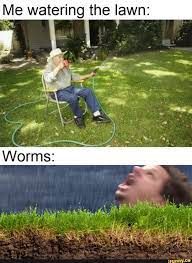 Me Watering The Lawn Ifunny Funny Relatable Memes Funny Memes Stupid Funny Memes