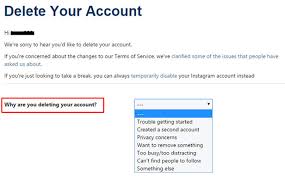 How To Deactivate Or Delete Your Instagram Account Bt