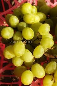 Maybe you would like to learn more about one of these? Makassar Buah Anggur Gembel Elit Anggur Hijau India Ini Asli Mungil Warnanya Hijau Rada Kekuningan Tekstur Lembut Tapi Manisnya Boleh Diadu Dengan Anggur Dari California Buat Para Pencinta Anggur Tanpa
