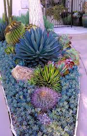 Beautiful Yard In Encinitas Ca Photo By Karen Holder Succulent Garden Landscape Succulent Garden Design Succulent Landscaping