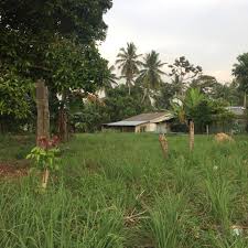 Check spelling or type a new query. Tanah Kampung Daching Lenggeng Negeri Sembilan Bersebelahan Beranang Selangor Property For Sale On Carousell