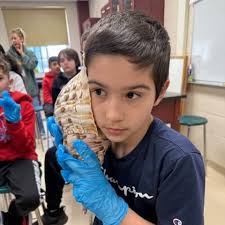 Three Village Central School District