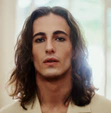 Create a Damiano David Hair Eras (Jan 2022) Tier List