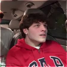 Matt Sturniolo Gap Hoodie