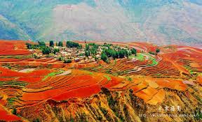 落霞溝 位於雲南昆明西南部的偏遠地區東川 方圓數百公里都是紅土 土壤里的鐵質經過氧化慢慢沉積下來 逐漸形成了這炫目的色彩 放眼望去 山川和原野呈現出暗紅 紫紅 磚紅等不同的紅色 painting art day