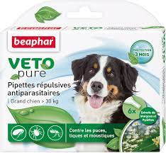 13 likes · 2 talking about this. Pipettes Repulsives Anti Parasitaires Beaphar Grand Chien Amazon De Haustier