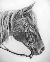 Hydrangea $3.99 cross stitch pattern detail information: Black And White Horse Material Pack Daetwilermp20180480 93 60 Usd Heaven And Earth Designs Cross Stitch Cross Stitch Patterns Counted Cross Stitch Christmas Stockings Counted Cross Stitch Chart Counted Cross Stitch