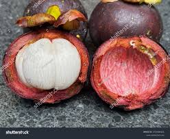 Image result for Garcinia mangostana
