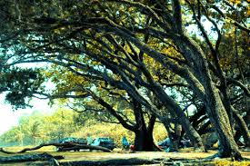 Image result for pantai sepat kuantan