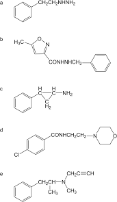 Image result for Isocarboxazid