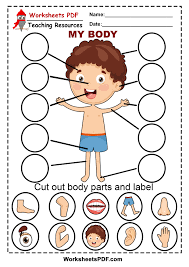 List of body parts worksheet for nursery. Worksheets Pdf Cut Out Body Parts Download Pdf Facebook