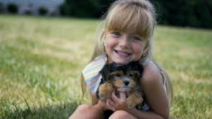 Feel free to browse hundreds of active we also advertise stud dog services and other puppy for sale related items. Georgia Dog Club Puppies For Sale Calhoun Ga