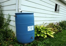 Collecting roof runoff in rain barrels reduces the amount of water that flows from your property. Two Rain Barrel Workshops Scheduled This Summer The Blade