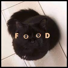 These products are not intended to diagnose, treat, cure, or prevent any disease. Black Cat S Eyes Spell Food