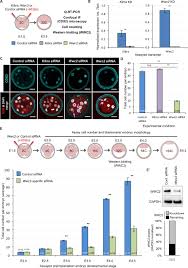 Clinical assistant professor, department of diagnostic radiology, hku. Ng Kim Ming Associates