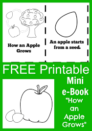 Crystal From Surviving A Teacher S Salary Has Put Together A Fantastic How An Apple Grows Ebook You Won T Want T Apple Lessons Apple Life Cycle Apple Preschool