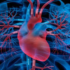 Ein weiteres mögliches anzeichen für eine herzmuskelentzündung sind ödeme: Was Ist Herzmuskelentzundung Ursachen Symptome Behandlung Krank De