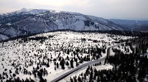 Image result for Hakkoda Walk