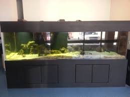 Complete aquarium is 4feet in height and in 2feet width including with a filtration system, lamps, purbles and 2 fishes plus feed. Huge Salt Water Aquarium 10 Foot 570 Gallon 4400 Tucson Az 6 2 13 Price 3900 Giant Aquariums