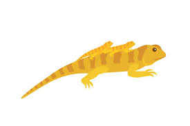 Download Bearded Dragon Reptile Mama With Her Babies Svg Cut File By Creative Fabrica Crafts Creative Fabrica