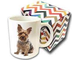 Coffee machine cleaner is a powerful triple action formula that penetrates, coffee oils, milk scum, lifts and removes scale from your coffee pod or espresso machine guaranteeing a perfect coffee every time. Yorkie Gifts For Birthdays Christmas More Our Top 13 Yorkie Gift Picks