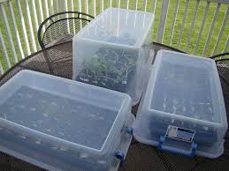Pin By Ann Sharkey On Garten Gewachshaus Mini Greenhouse Greenhouse Gardening Seed Starters