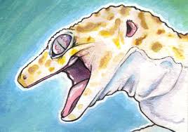 Vector illustration of funny cartoon hand drawn eublepharis or. Aceo Leopard Gecko By Merkotoz On Deviantart