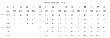 Chinese Kung Fu Feiyuesizechart Feiyue Shoes Size Chart