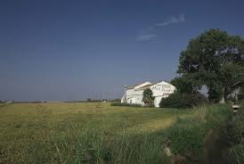 Encuentra los mejores alquileres vacacionales en prades con tripadvisor! Arrosseria I Casa Rural Mas Prades Rreset Disseny I Comunicacio