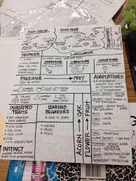 * information pertaining to staar eoc biology will be posted regularly so check this site frequently for the. Pin On Science