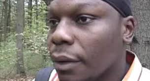 Rise of the Scarecrows